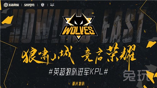 的投资